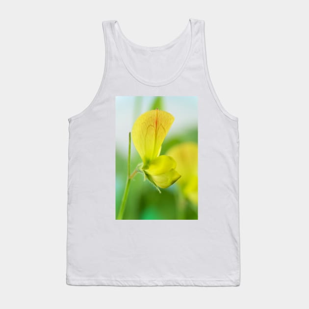 Lathyrus chloranthus  Yellow sweet pea Tank Top by chrisburrows